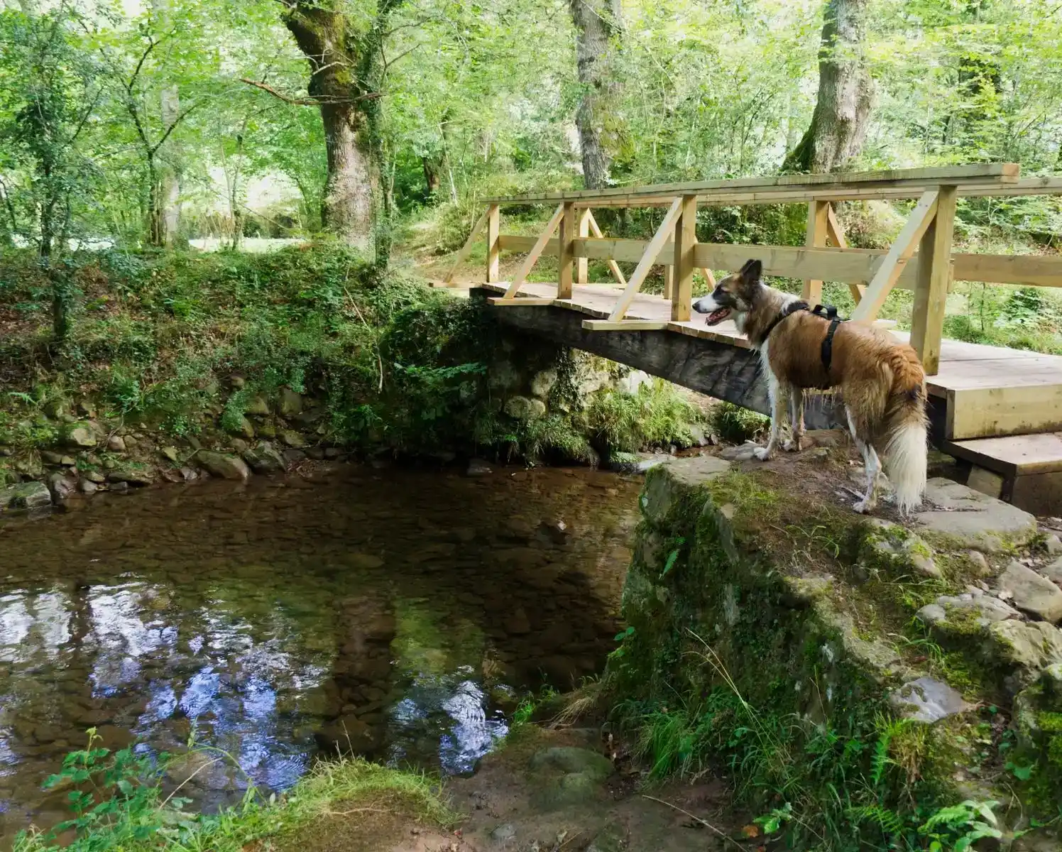 Ruta de montaña